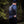 MENS SAVAGE JOGGER (BLACK)